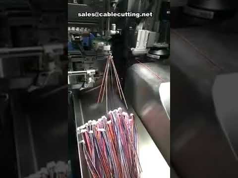 全自动塑料外壳连接器插装设备 | 高效工业装配解决方案