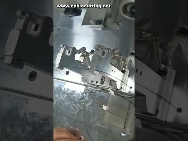 全自动线缆贴标机 | 电线标识机 | 汽车贴纸贴标机